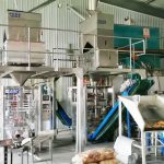 Mae dwy uned o beiriant pecynnu awtomatig Millet yn cwblhau gosod a dadfygio yn ein ffatri cleientiaid