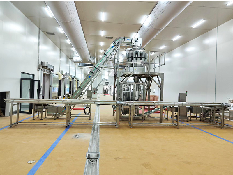 peiriant pacio awtomatig forzen bwyd