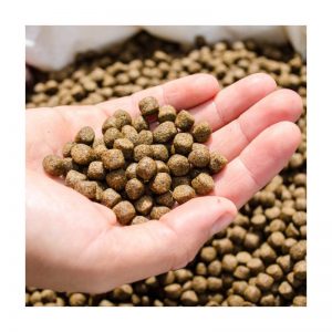 peiriant pecynnu porthiant fertigol