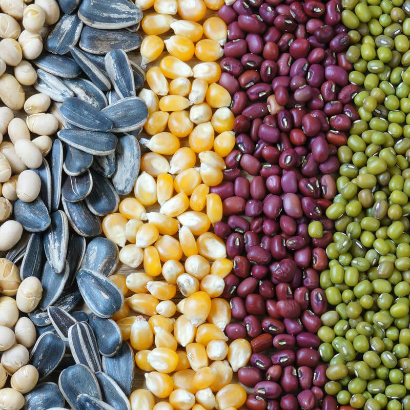 Peiriant pecynnu hadau awtomatig